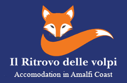 Logo ufficiale del B&B il ritrovo delle volpi